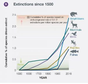 estinzione specie dal 1500
