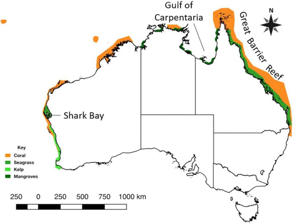 ecosistemi marini australia