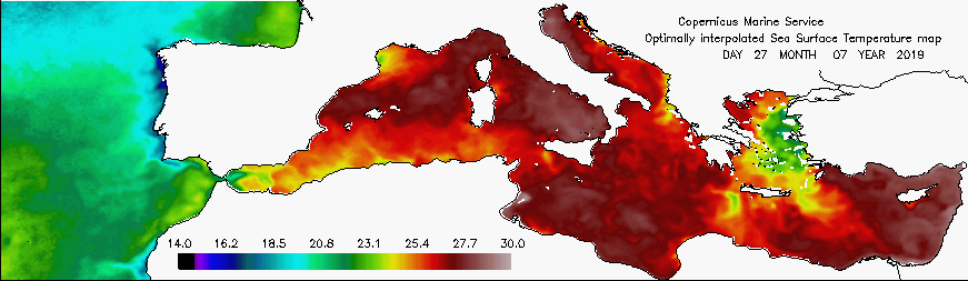 mediterraneo caldo temperatura