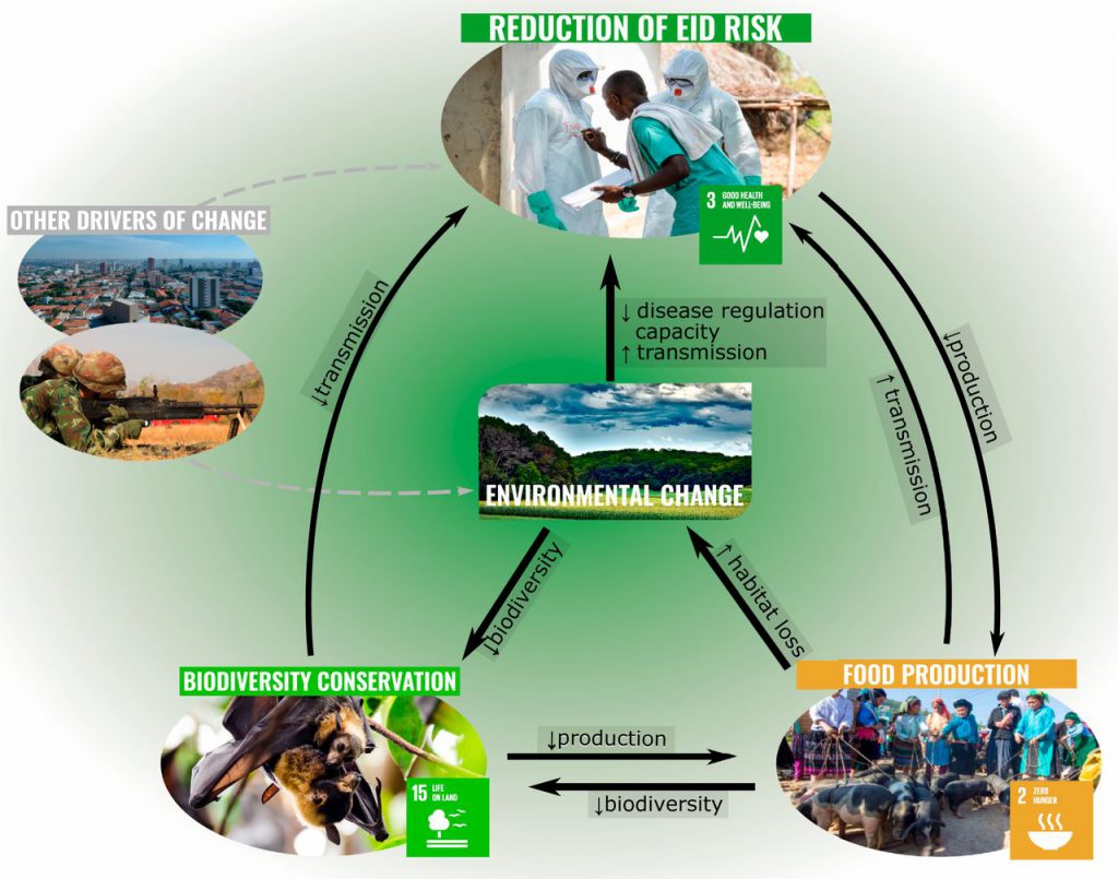 coronavirus rischio cambiamenti ambientali