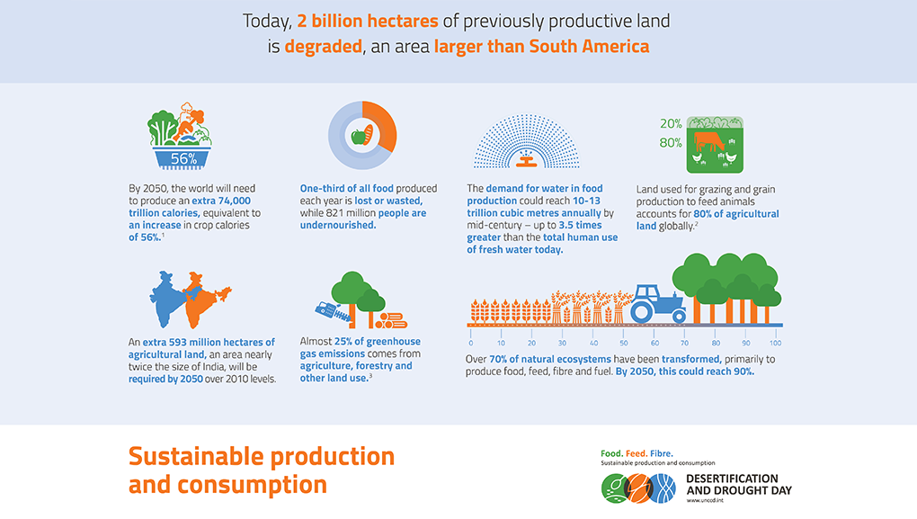 desertificazione e siccità - infografica