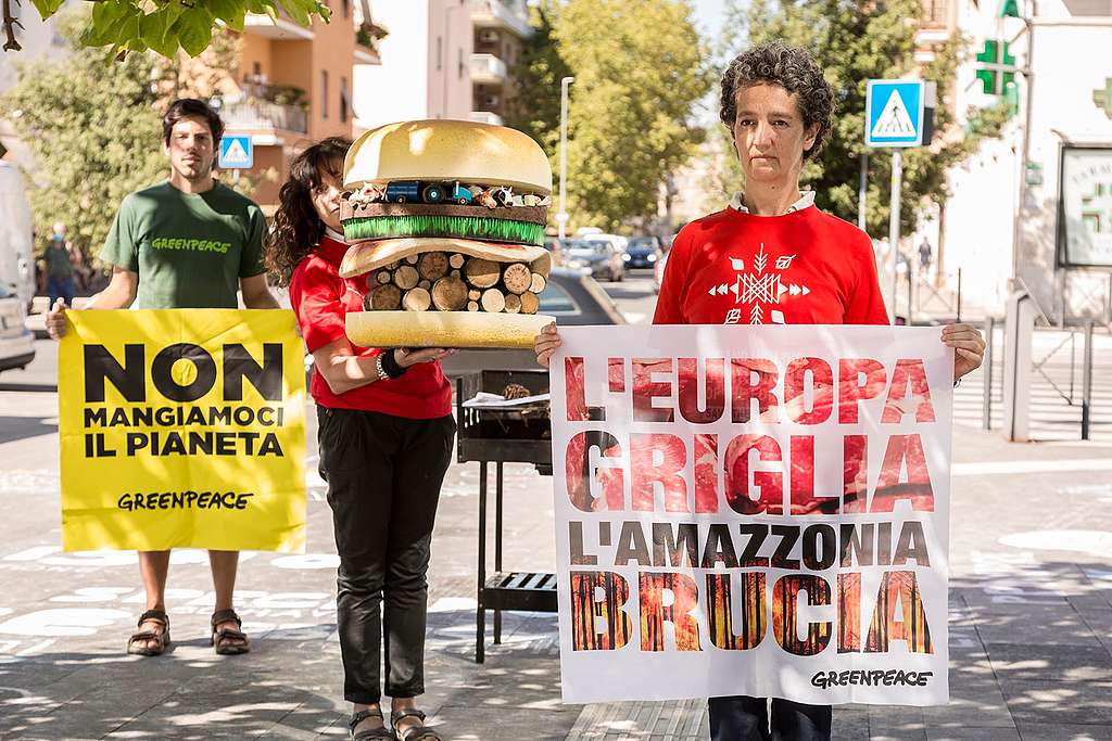Incendi amazzonia UE greenpeace