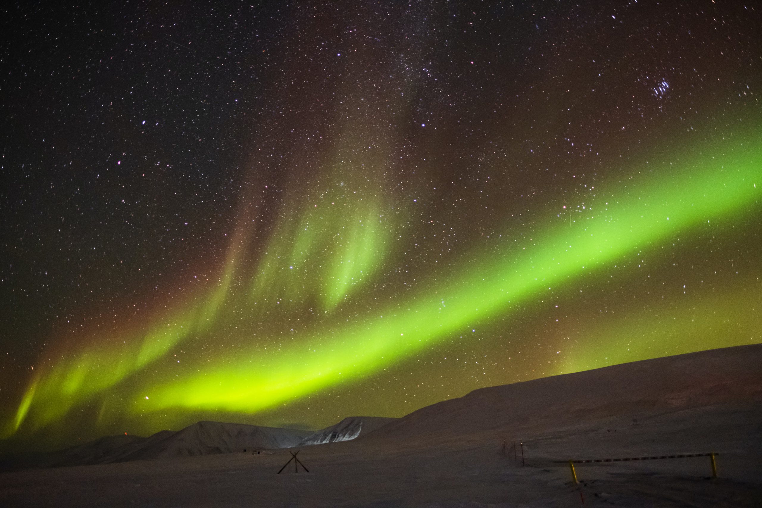 svalbard norvegia parco nazionale