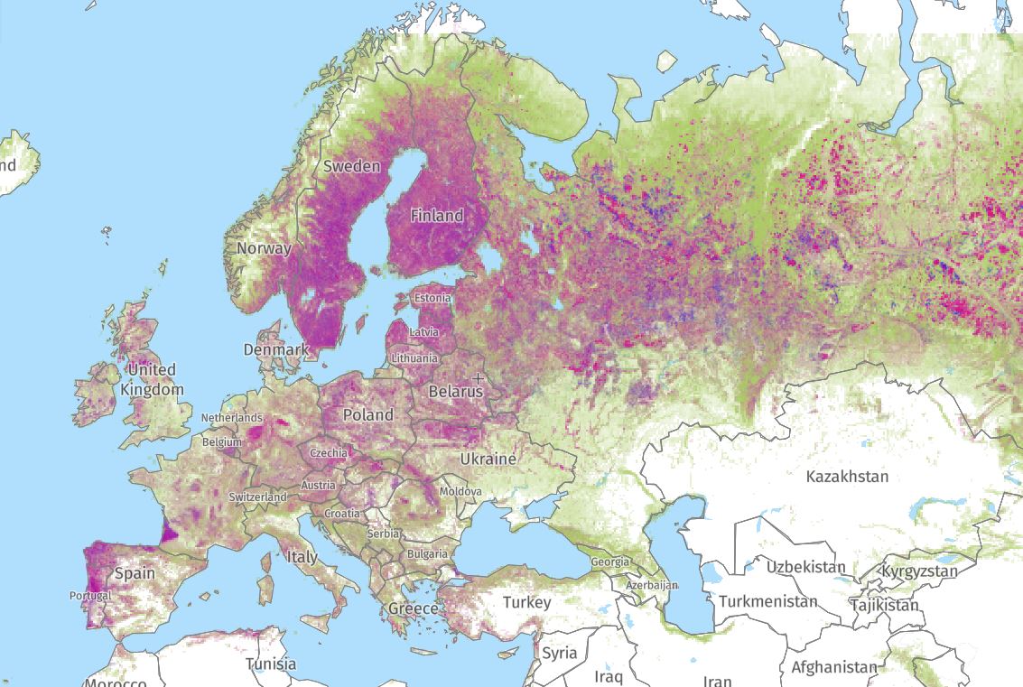 Deforestazione, nel 2021 i Tropici hanno perso 10 campi da calcio ogni minuto di foreste primarie Deforestazione, nel 2021 i Tropici hanno perso 10 campi da calcio ogni minuto di foreste primarie