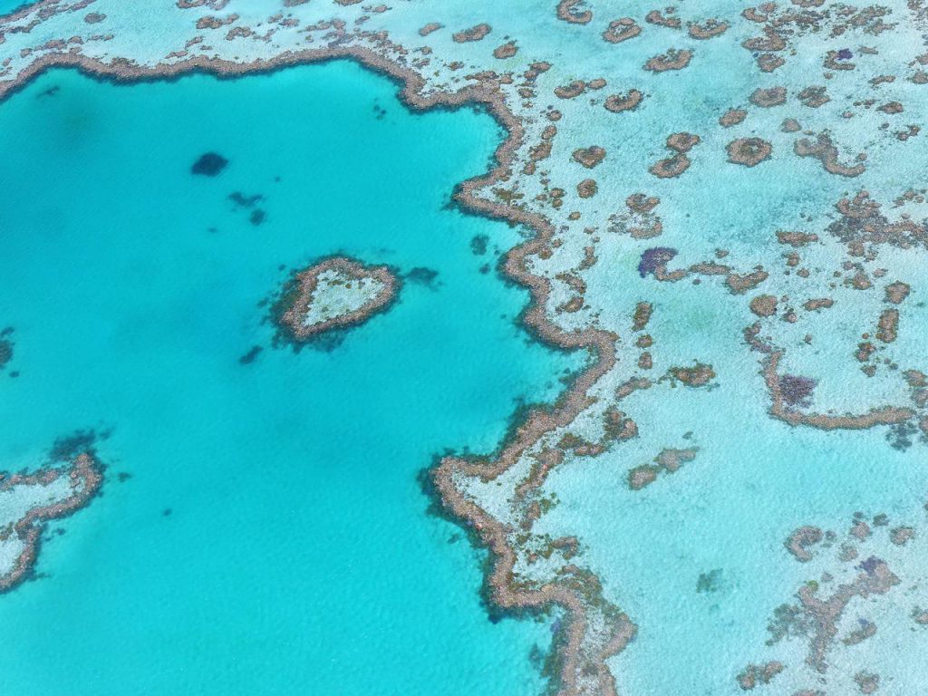 grande barriera corallina australia