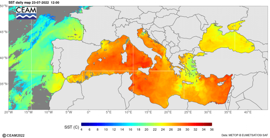 Temperature caldo mare Mediterraneo