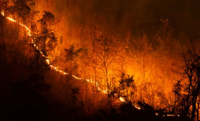 España, emergencia por incendios: 28.000 hectáreas destruidas en 3 meses