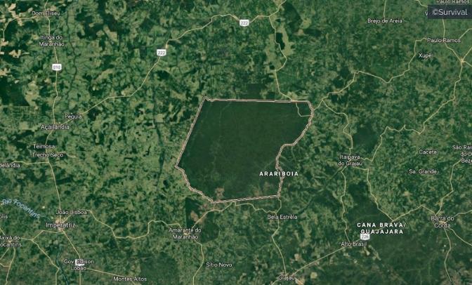 amazzonia deforestazione e indigeni