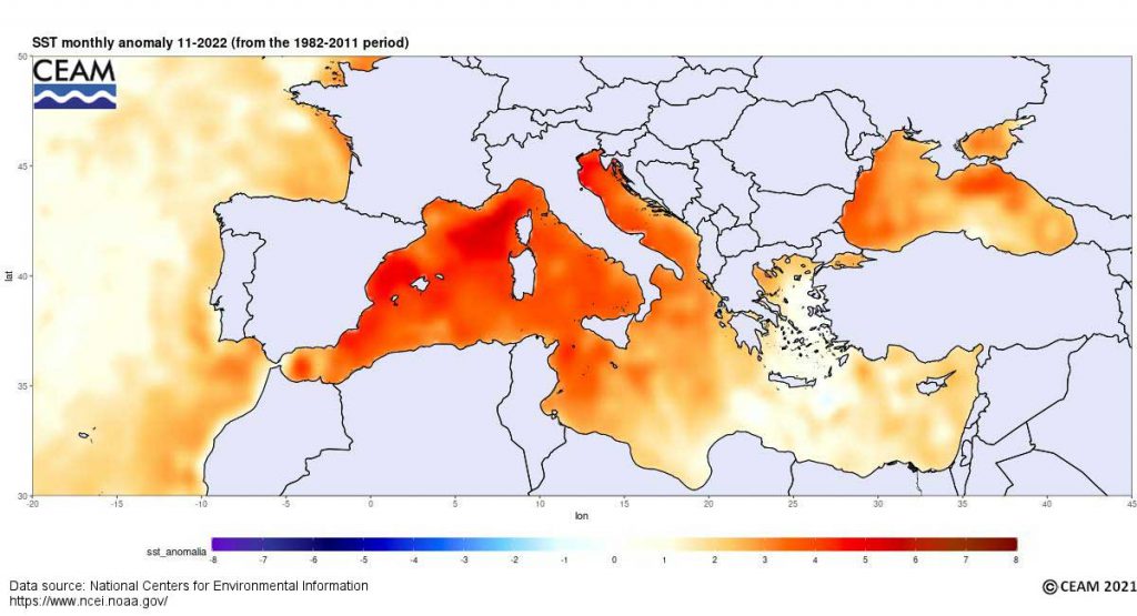 mediterraneo caldo gennaio