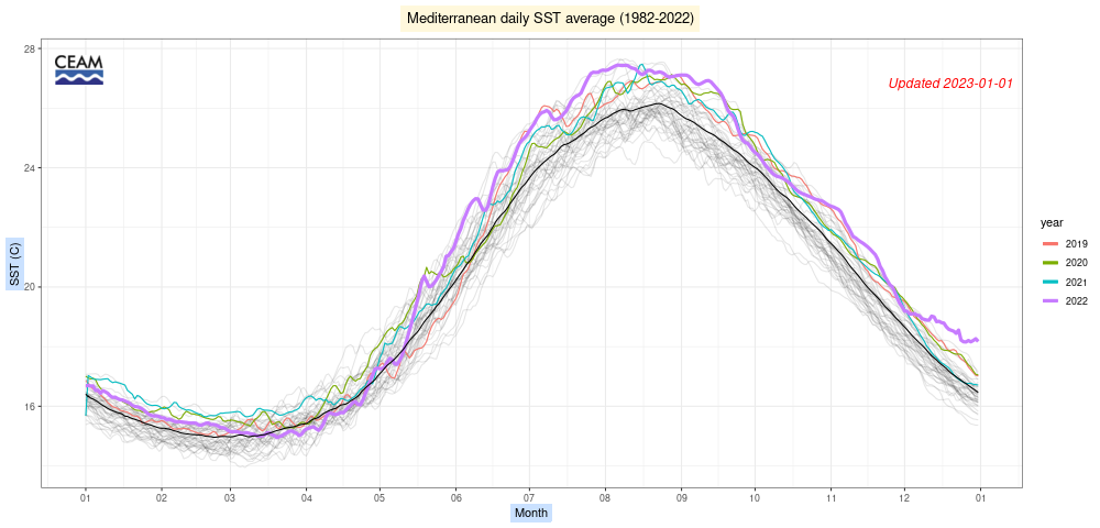 Le anomalie di temperatura media del mare Mediterraneo nel corso degli ultimi anni