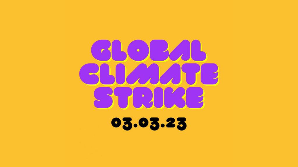 Fridays for future sciopero 3 marzo 2023