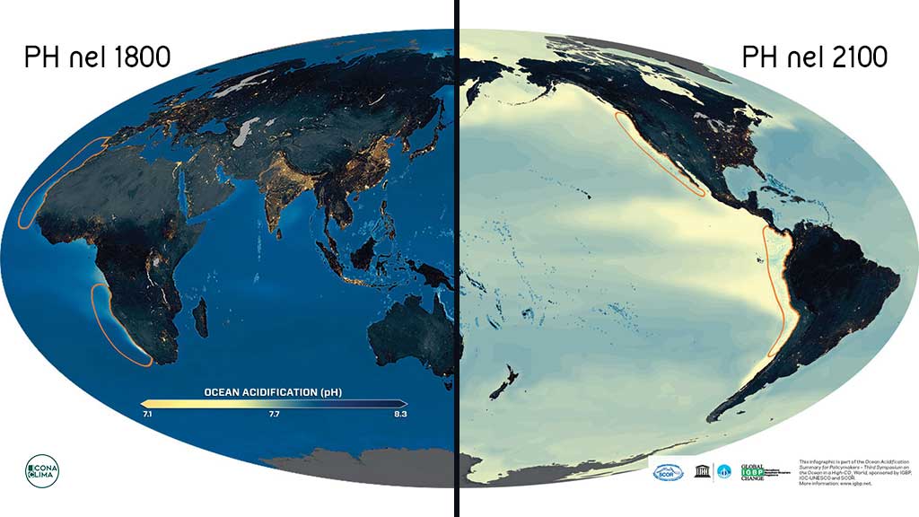 acidificazione oceani ph mari crisi climatica