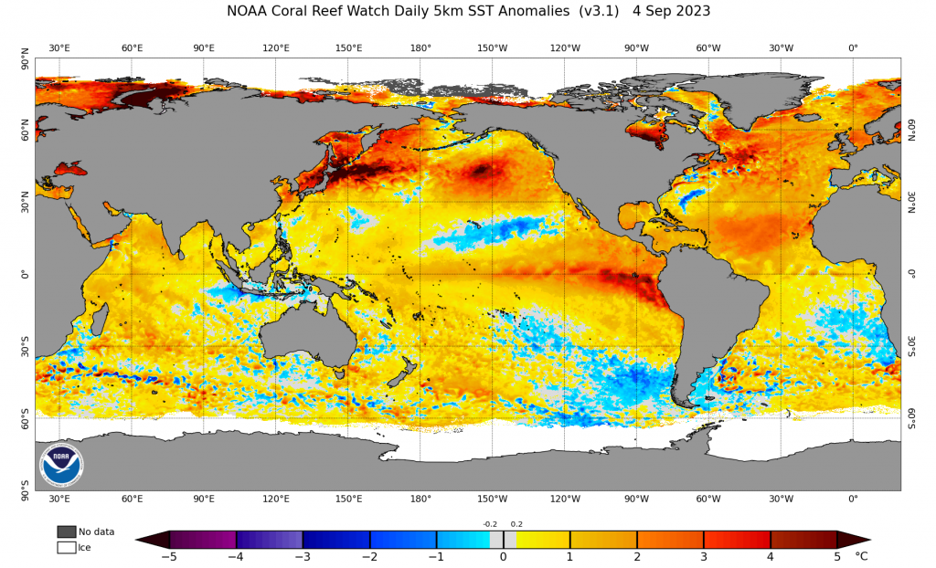 mari-oceani-caldi