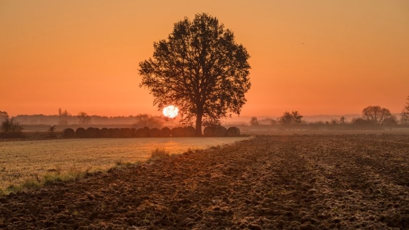 crisi climatica biodiversità emergenza sanitaria