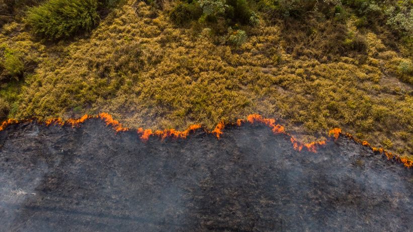 mitigazione adattamento clima