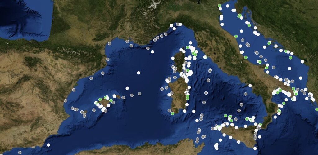 foca monaca mappa