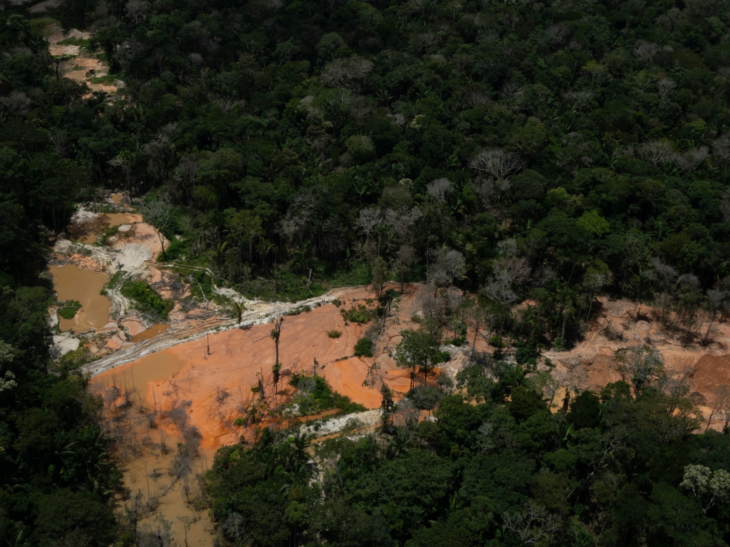 oro illegale amazzonia
