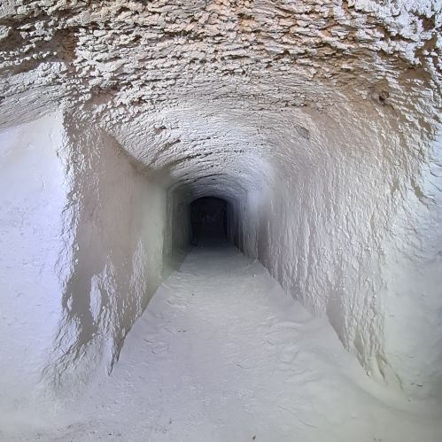 bunker di lampedusa - pipistrelli