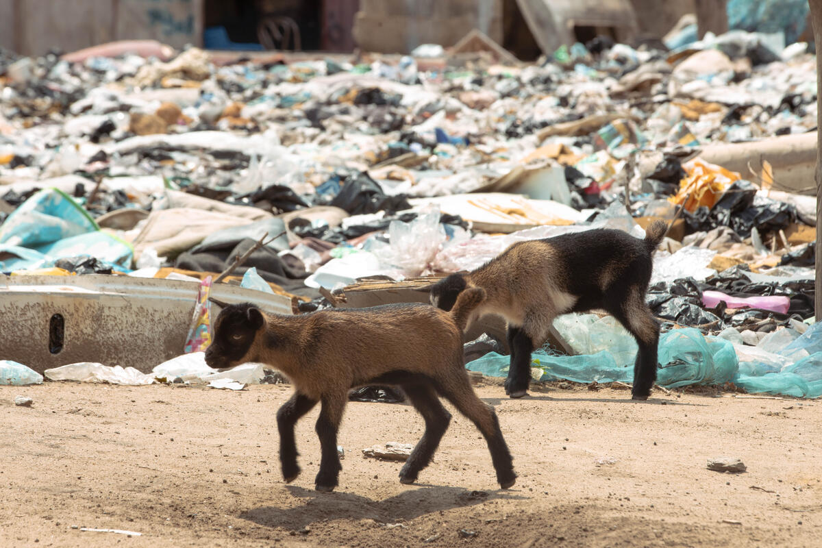 rifiuti tessili africa inquinamento - foto greenpeace (1)