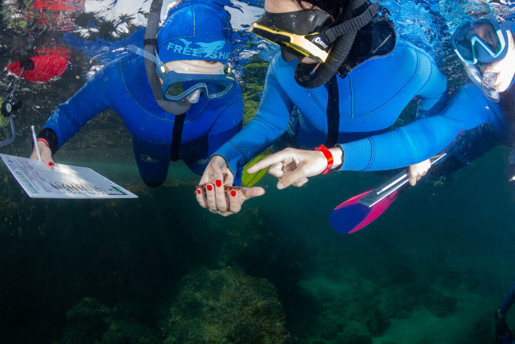 aree marine protette worldrise