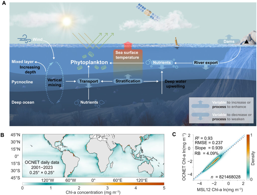 alghe oceani colore clima