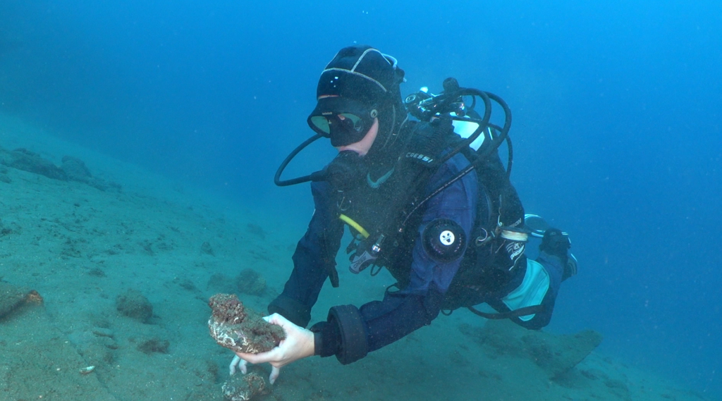 coralli mediterraneo