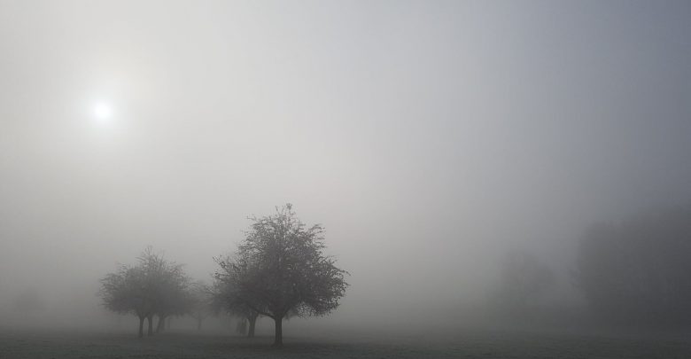 previsioni meteo nebbia