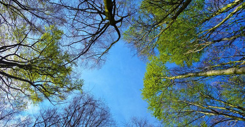 meteo primavera