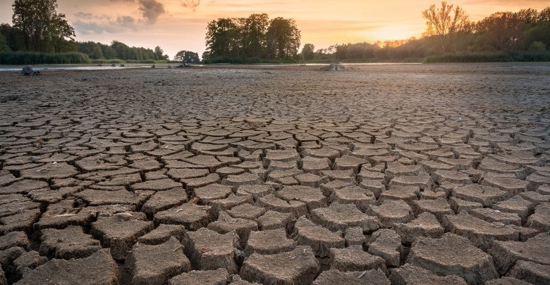 C'est le Début de la Fin - Page 11 Drought-3618653_1920_seaq68-780x405