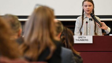Greta Thunberg politica