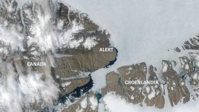 caldo assoluto canada alert nord del mondo