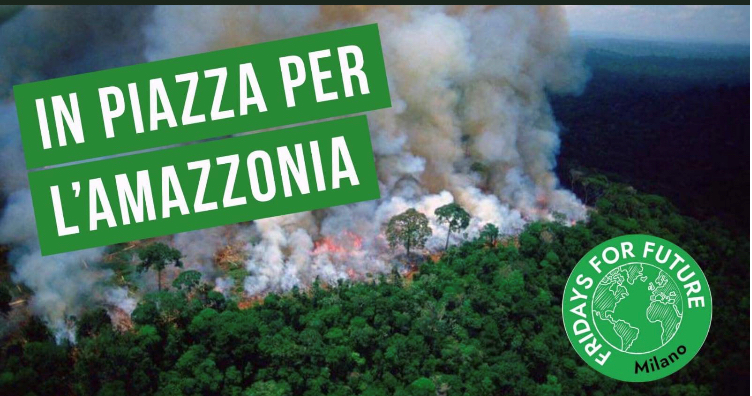 Fridays For Future Milano