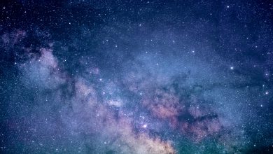 Polvere di stelle in Antartide