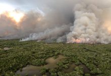 Incendi boschivi