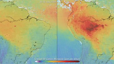 Monossido di carbonio prima e dopo gli incendi in Amazzonia.
