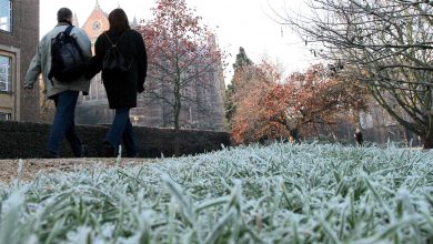 meteo maltempo freddo gelo