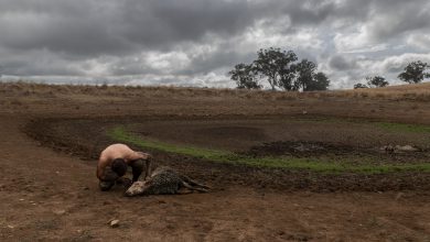 emergenza clima siccità, riscaldamento globale, cambiamenti climatici