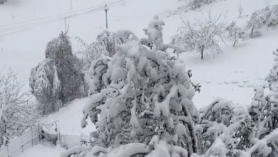 neve oggi video