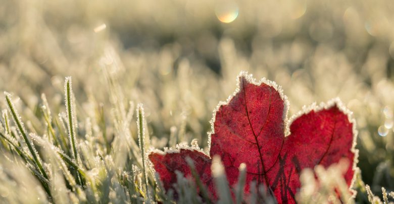 meteo freddo inverno gelo