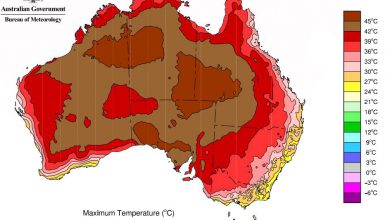 australia caldo