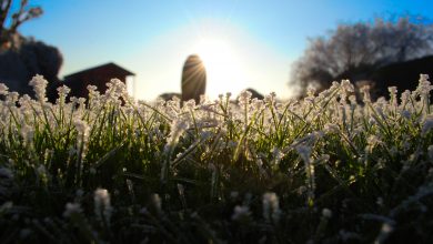 meteo weekend inverno sole