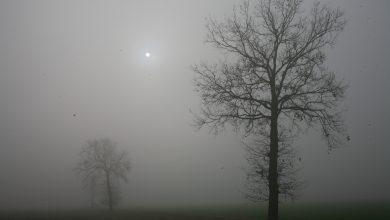 meteo nebbia