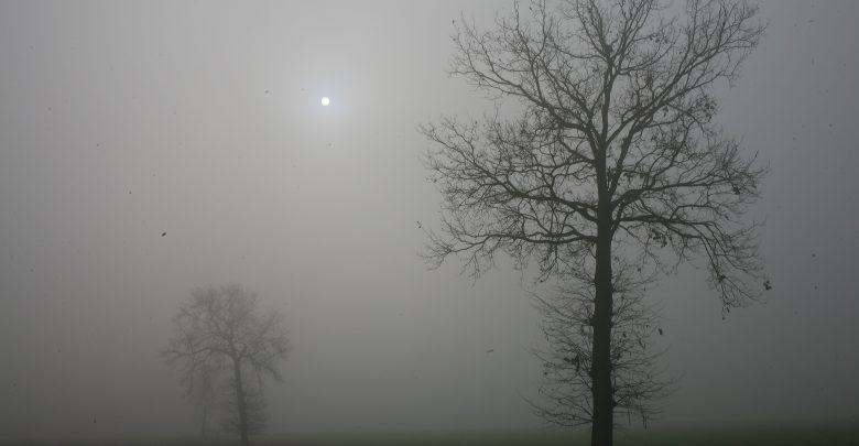 meteo nebbia