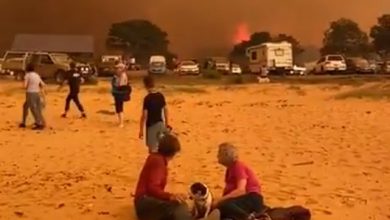 Australia incendi clima