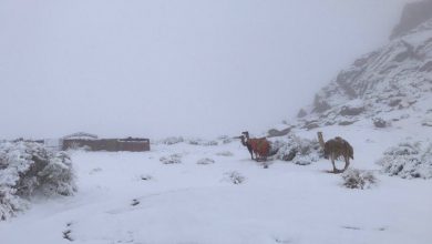 neve deserto arabia saudita