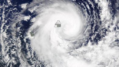 ciclone calvinia mauritius