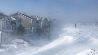 neve record Canada