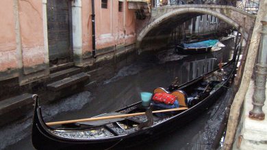 bassa marea venezia