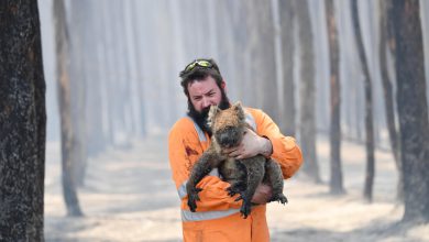 australia incendi caldo siccità