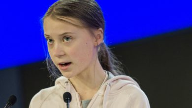 greta thunberg discorso completo davos coronavirus